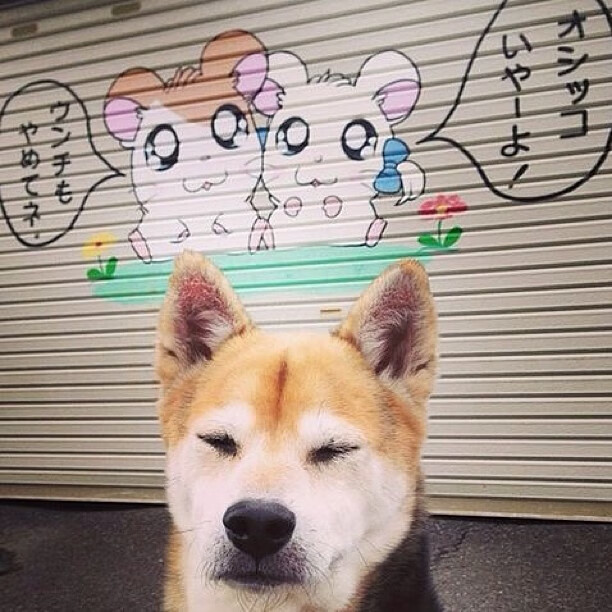 九游app下载-舞台越大，他越强，当南非对阵美国，C罗的传奇仍在书写