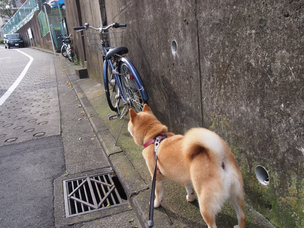 九游登录平台-东决预演？热火稳字当头，关键战击沉快船